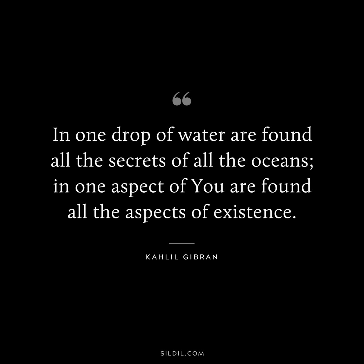 In one drop of water are found all the secrets of all the oceans; in one aspect of You are found all the aspects of existence. ― Kahlil Gibran
