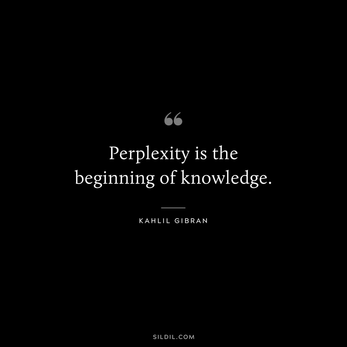 Perplexity is the beginning of knowledge. ― Kahlil Gibran
