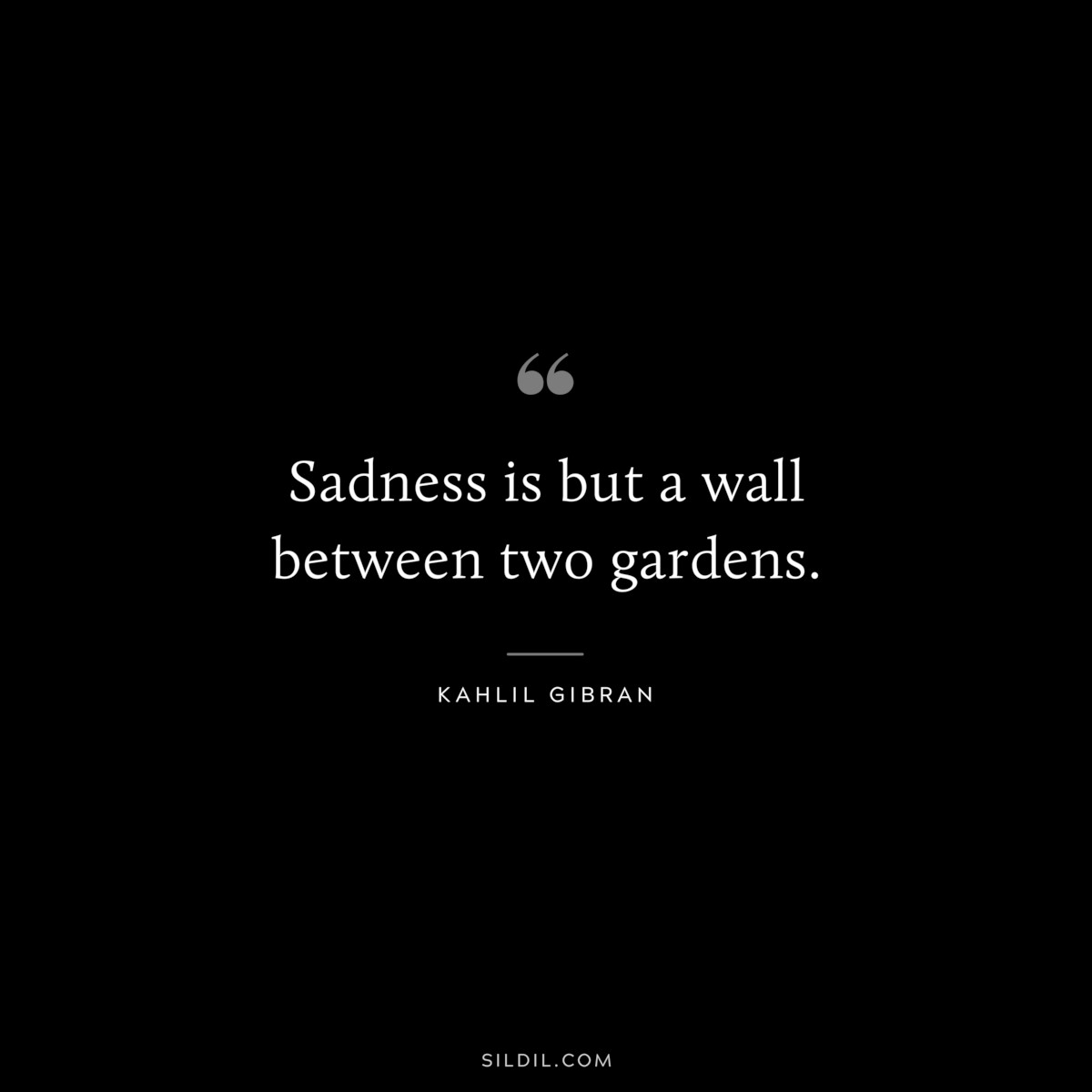 Sadness is but a wall between two gardens. ― Kahlil Gibran