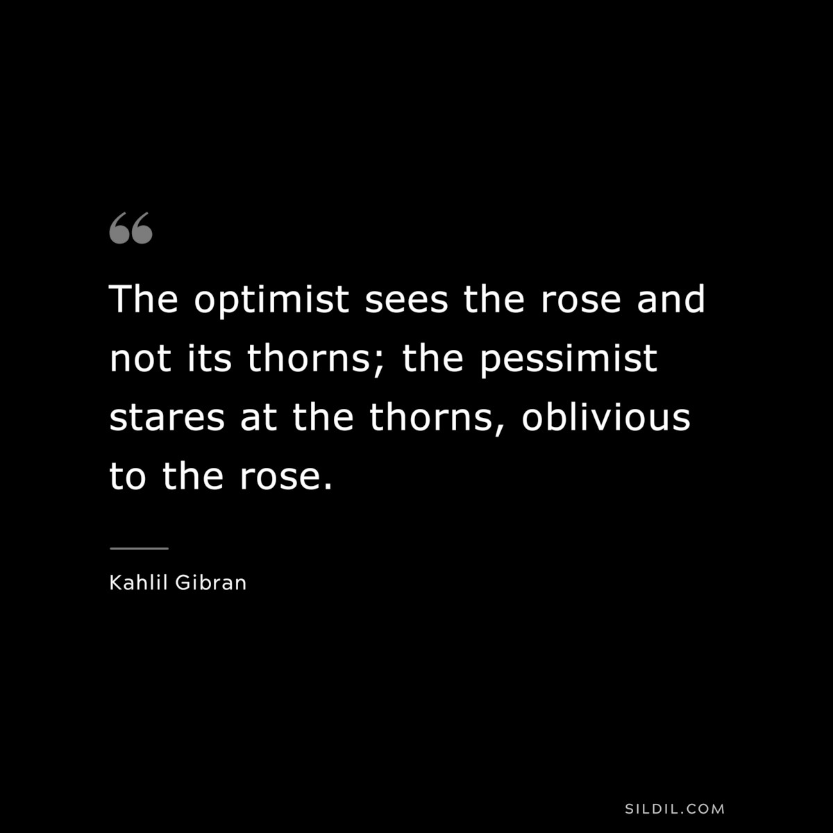 The optimist sees the rose and not its thorns; the pessimist stares at the thorns, oblivious to the rose. ― Kahlil Gibran