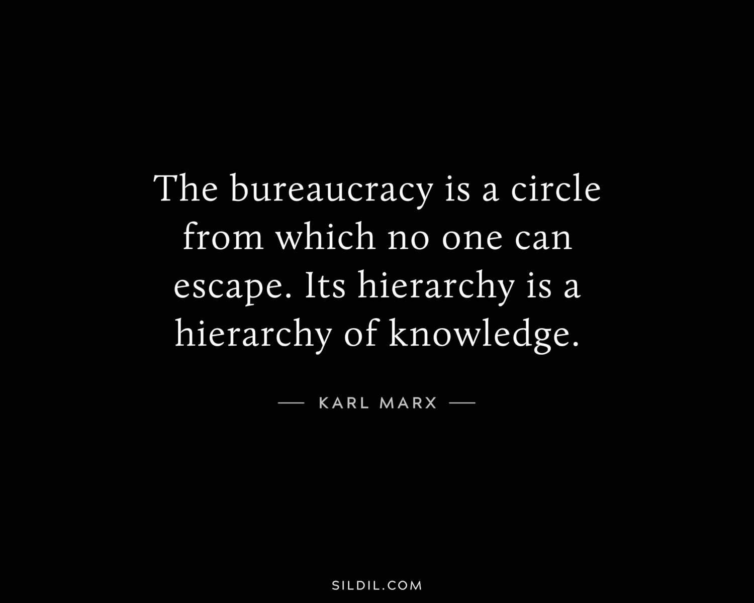 The bureaucracy is a circle from which no one can escape. Its hierarchy is a hierarchy of knowledge.