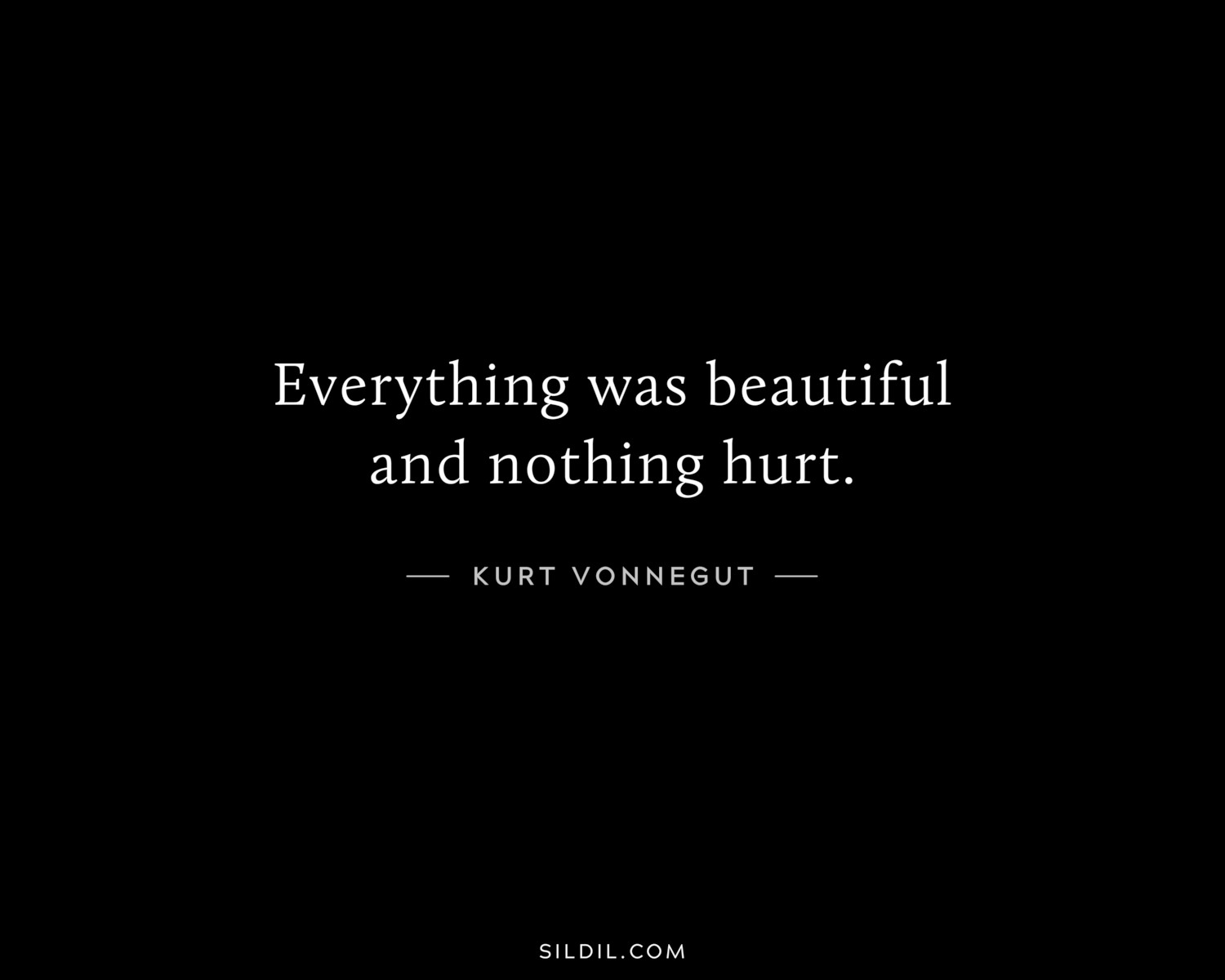 Everything was beautiful and nothing hurt.