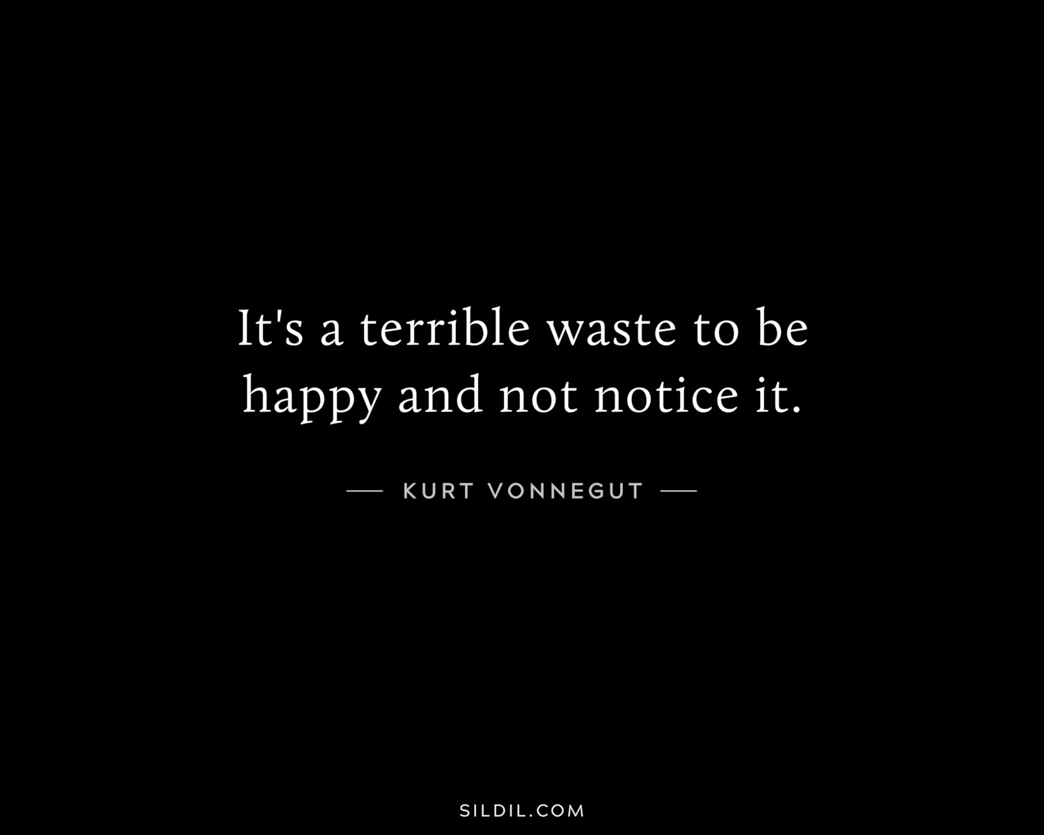 It's a terrible waste to be happy and not notice it.