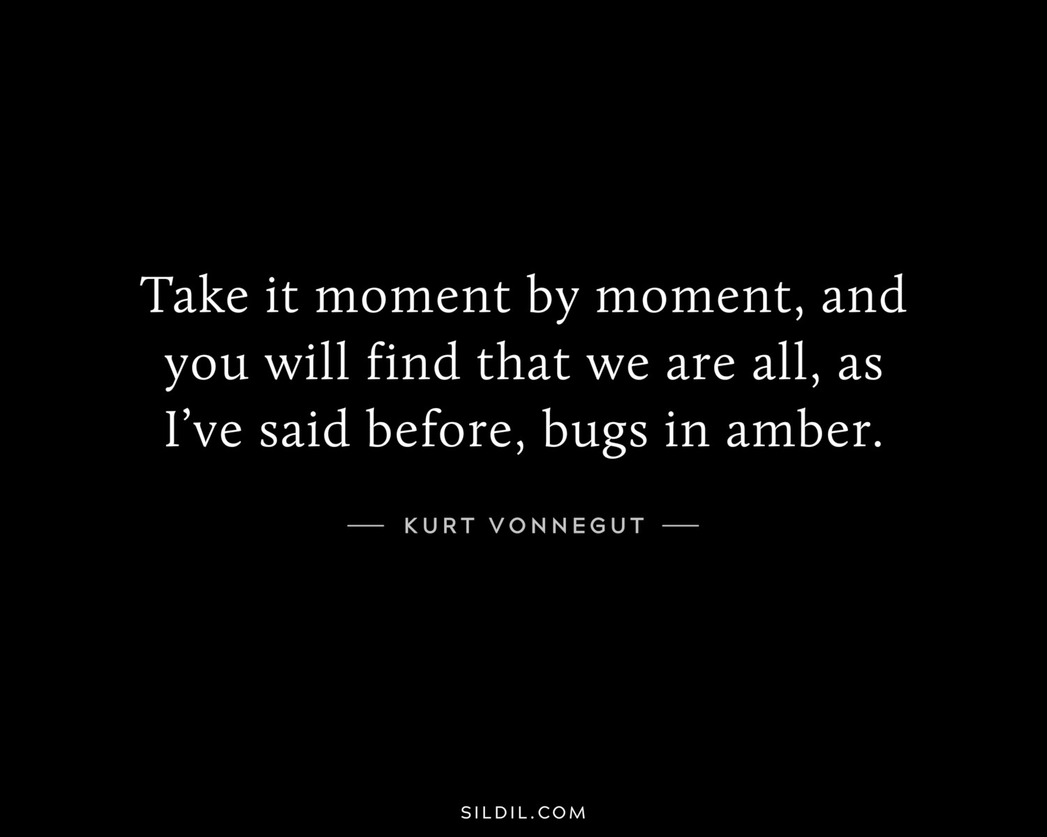 Take it moment by moment, and you will find that we are all, as I’ve said before, bugs in amber.