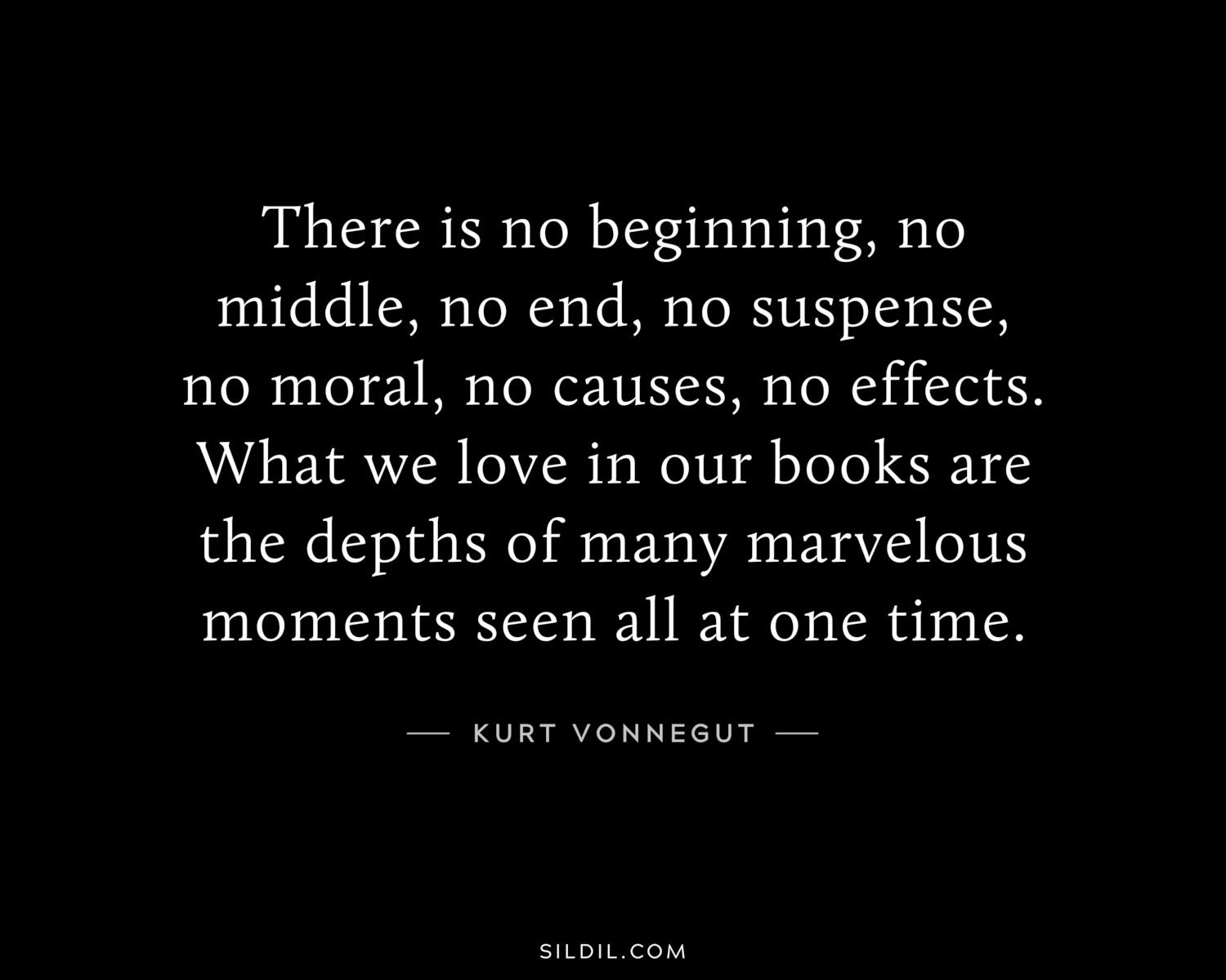 There is no beginning, no middle, no end, no suspense, no moral, no causes, no effects. What we love in our books are the depths of many marvelous moments seen all at one time.