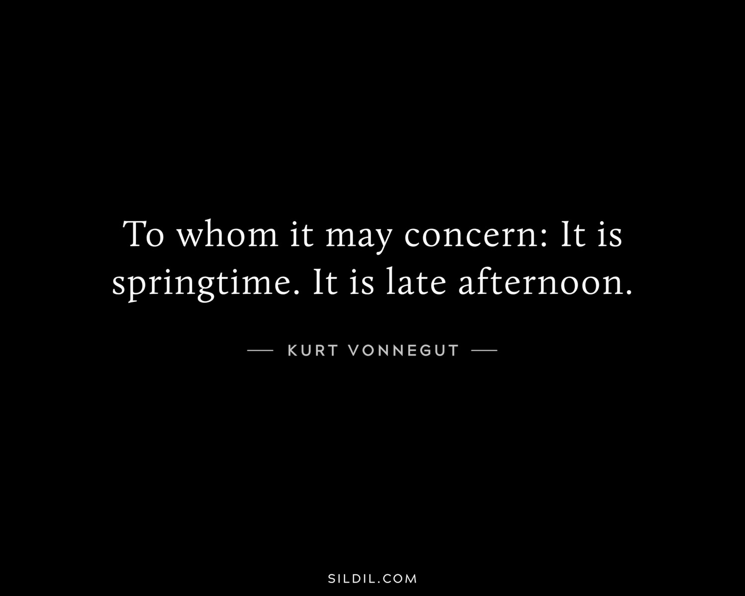 To whom it may concern: It is springtime. It is late afternoon.
