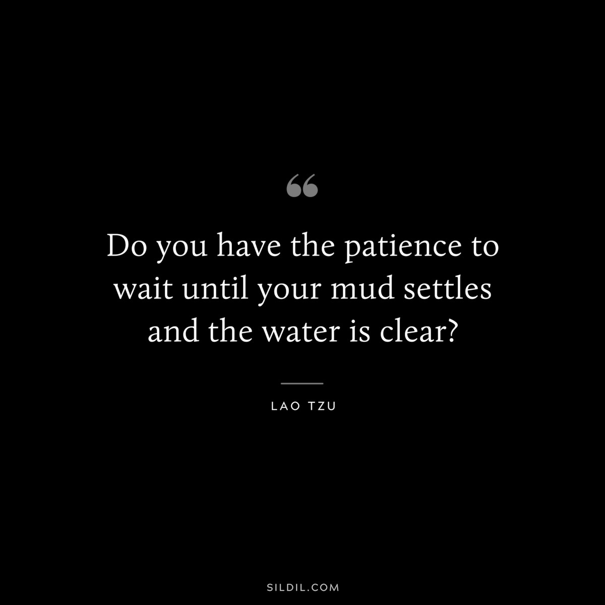 Do you have the patience to wait until your mud settles and the water is clear? ― Lao Tzu