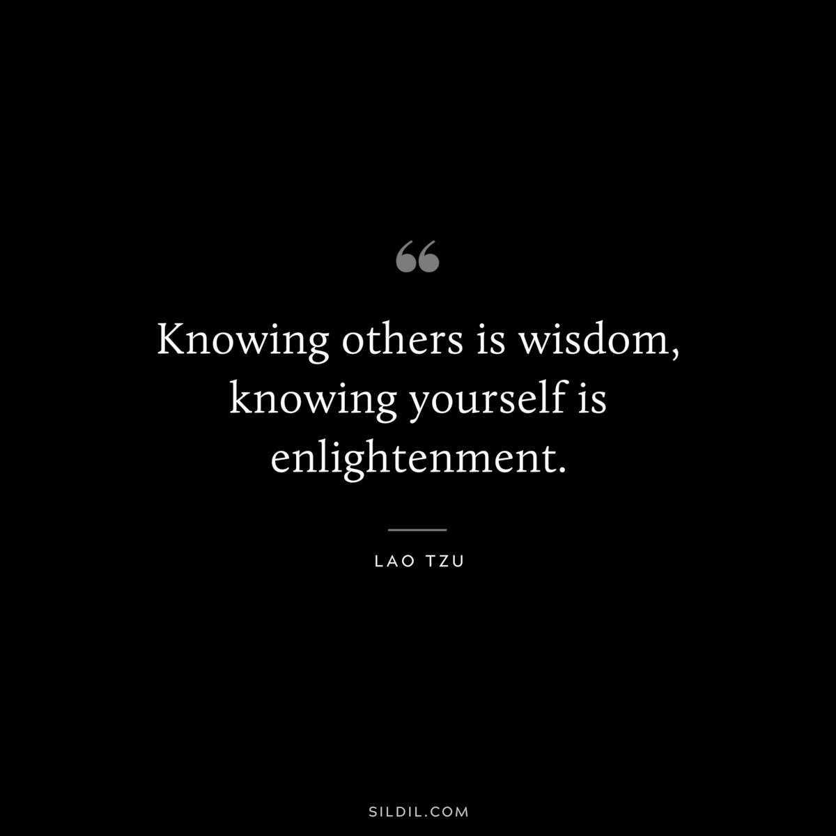 Knowing others is wisdom, knowing yourself is enlightenment. ― Lao Tzu