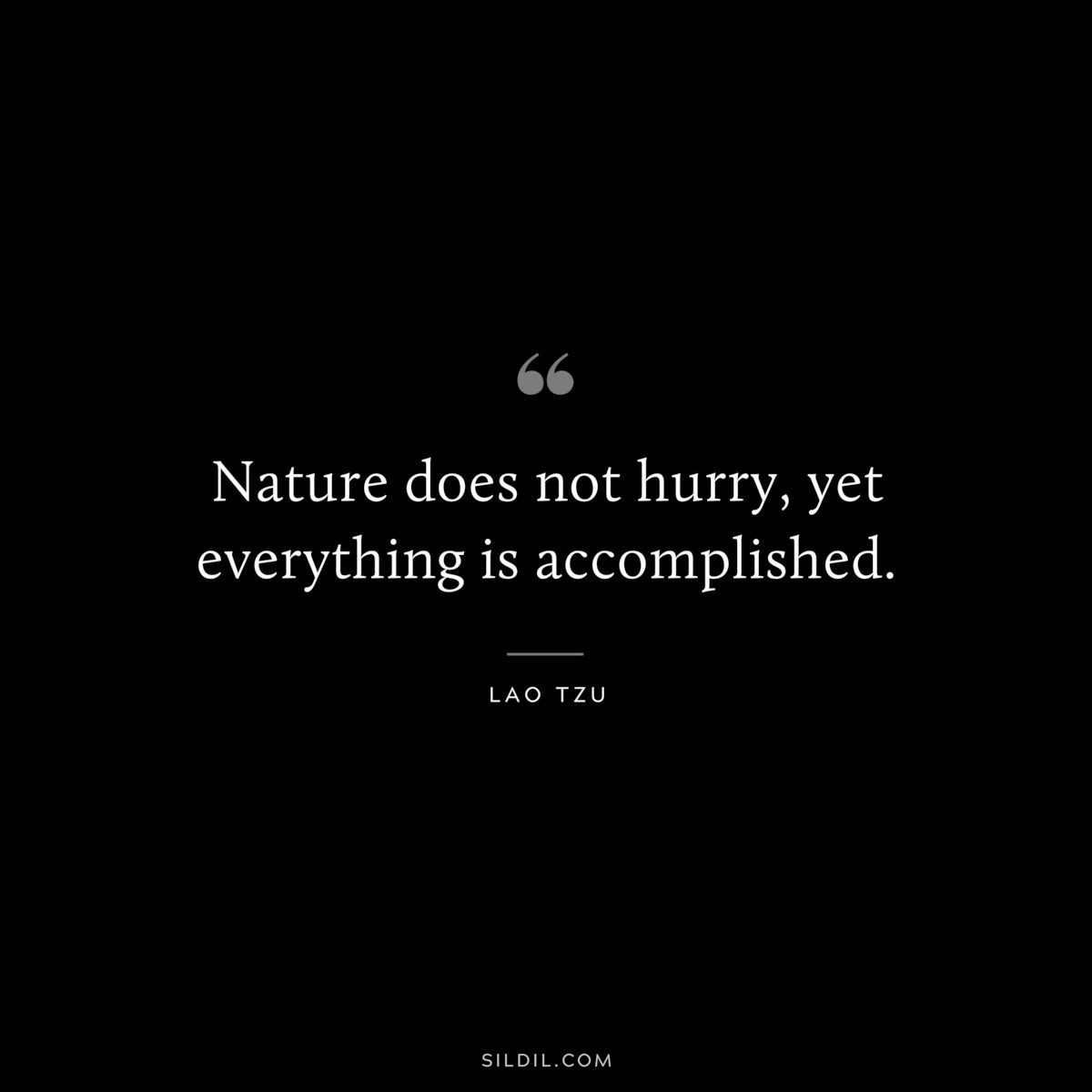 Nature does not hurry, yet everything is accomplished. ― Lao Tzu