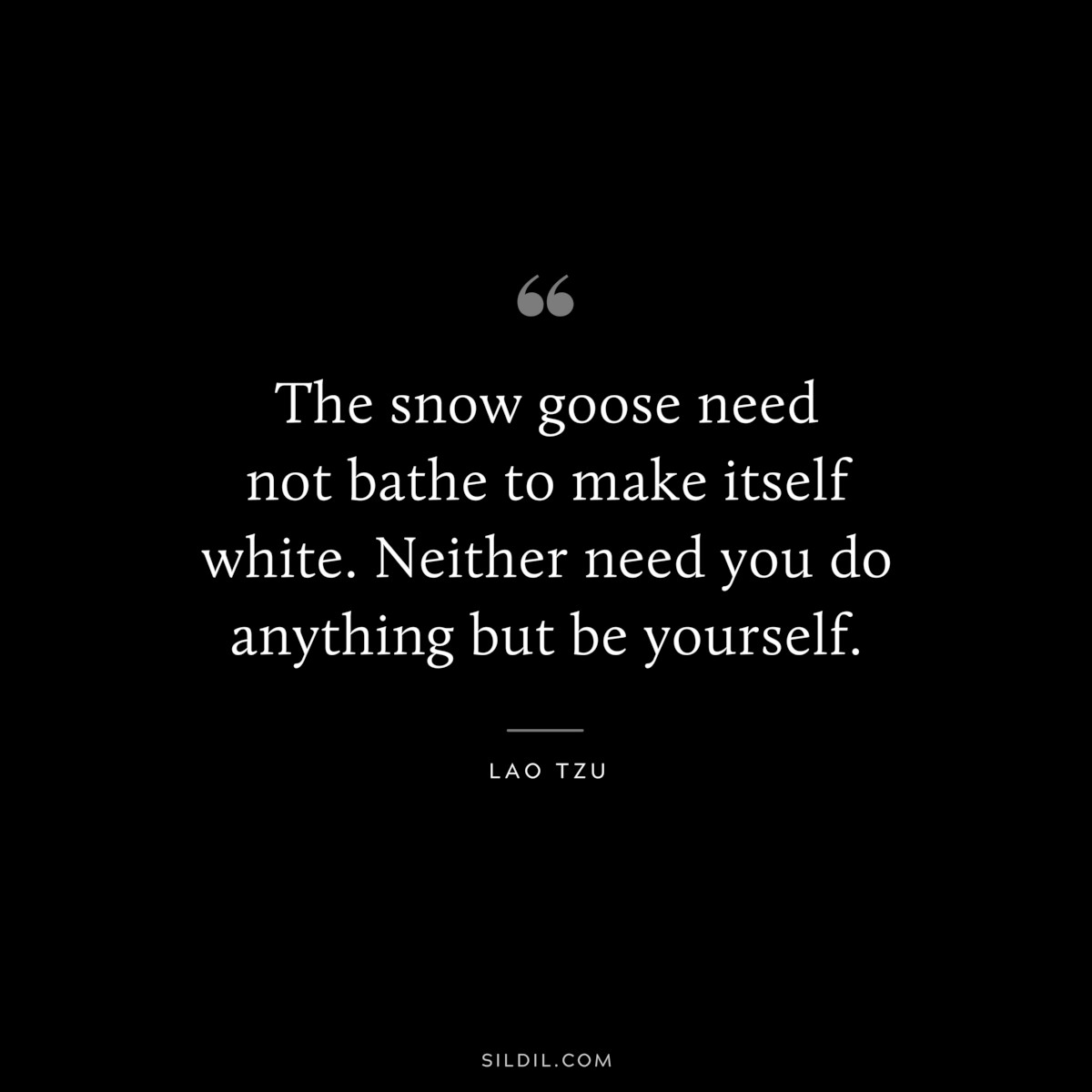 The snow goose need not bathe to make itself white. Neither need you do anything but be yourself. ― Lao Tzu
