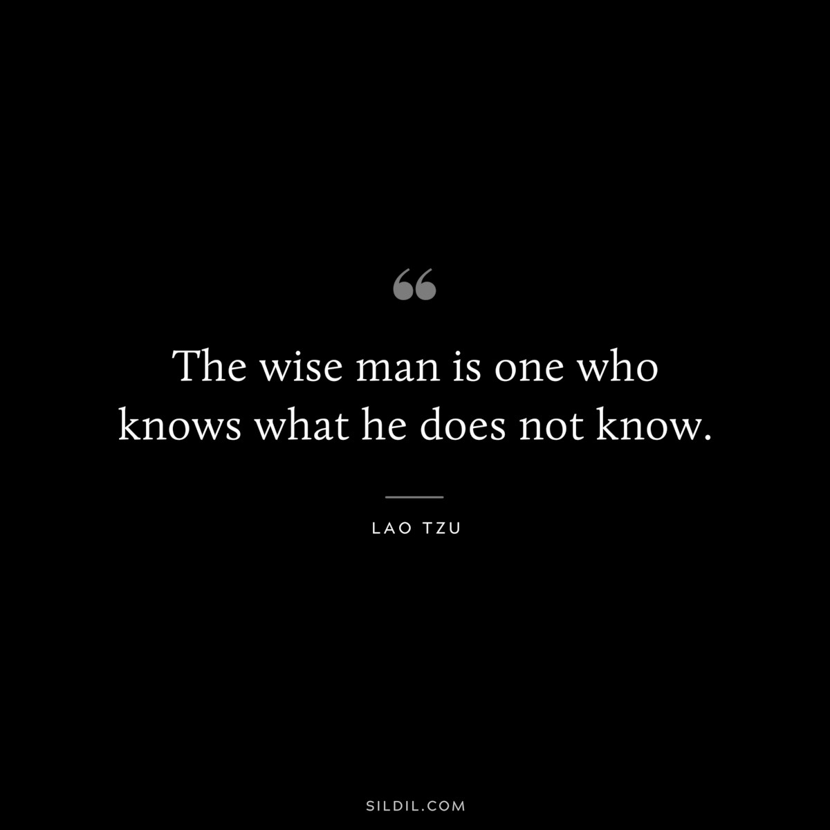 The wise man is one who knows what he does not know. ― Lao Tzu
