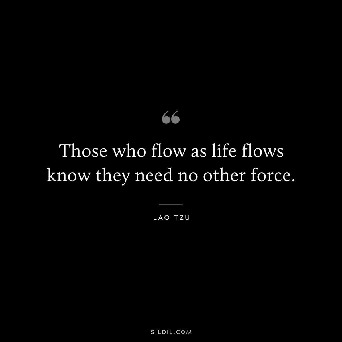 Those who flow as life flows know they need no other force. ― Lao Tzu