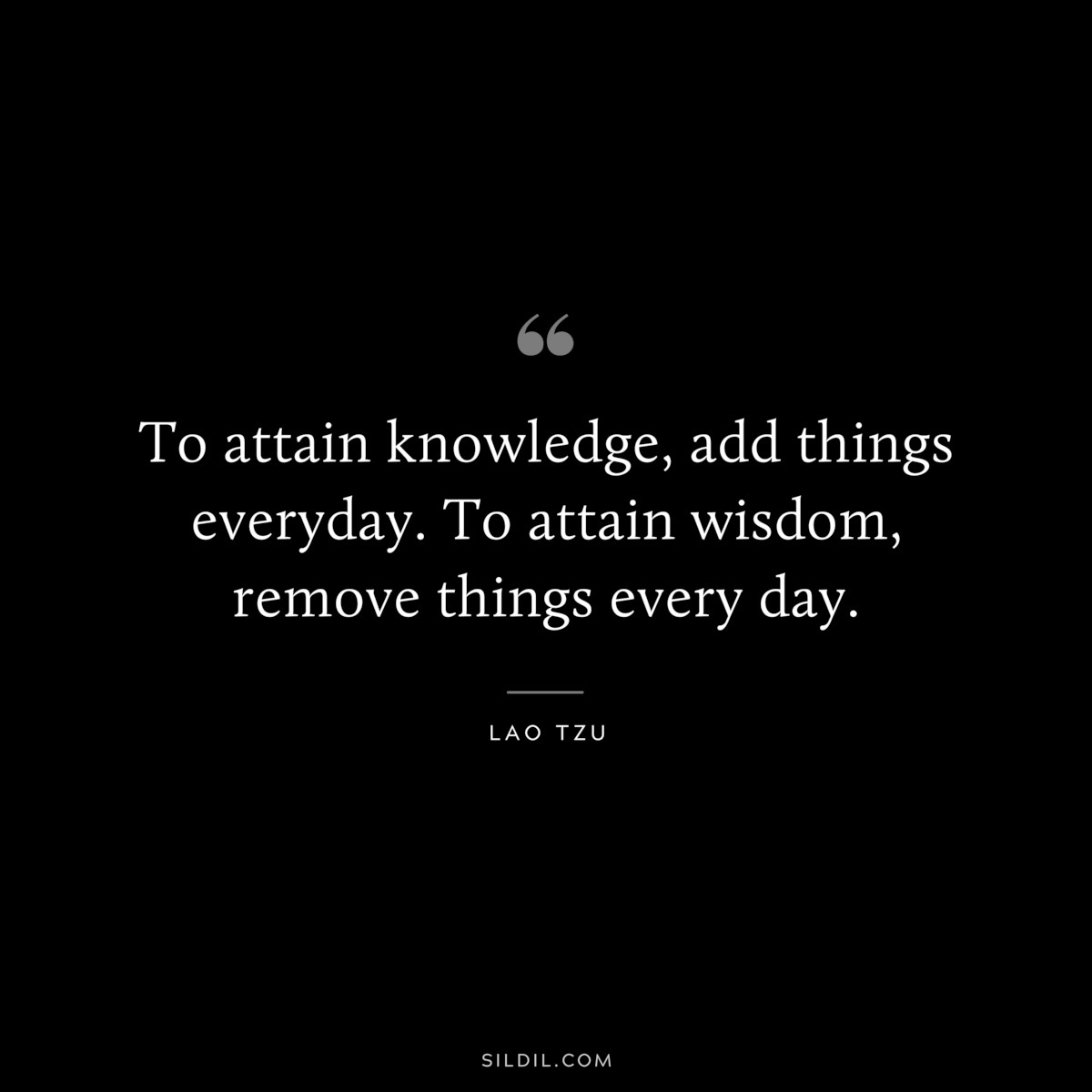 To attain knowledge, add things everyday. To attain wisdom, remove things every day. ― Lao Tzu