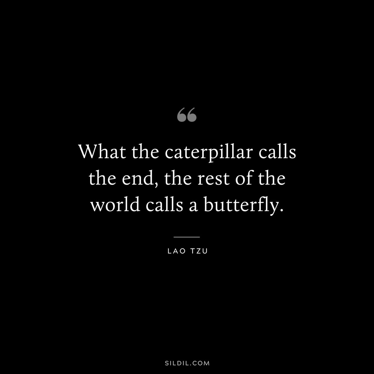 What the caterpillar calls the end, the rest of the world calls a butterfly. ― Lao Tzu