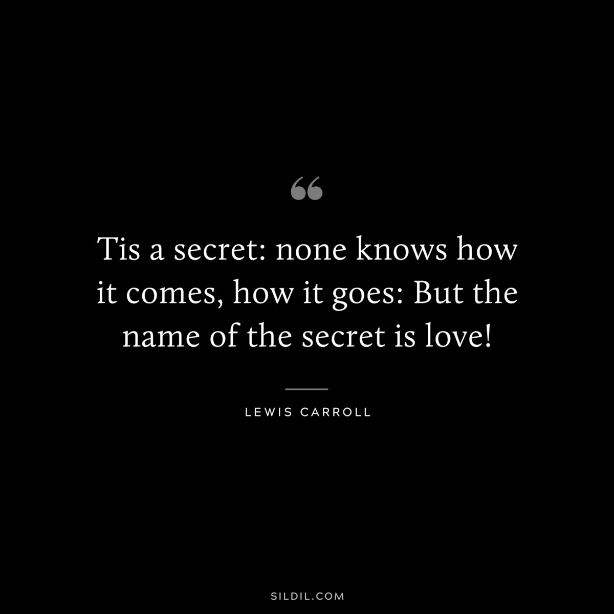 Tis a secret: none knows how it comes, how it goes: But the name of the secret is love!