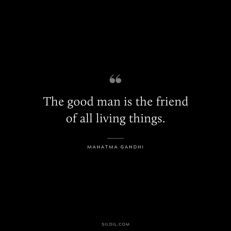 The good man is the friend of all living things. ― Mahatma Gandhi