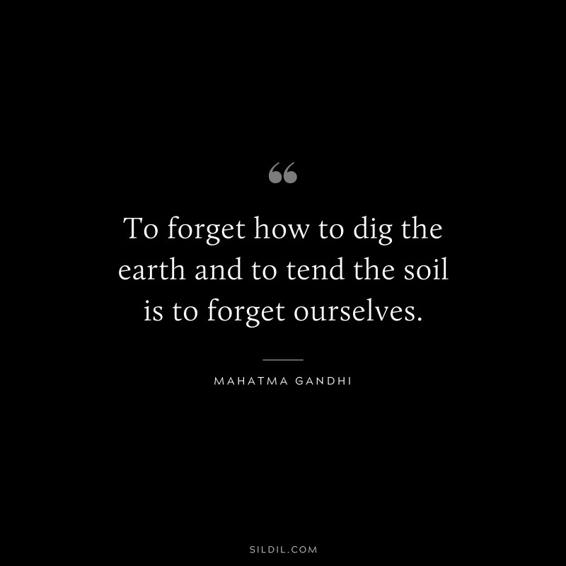 To forget how to dig the earth and to tend the soil is to forget ourselves. ― Mahatma Gandhi
