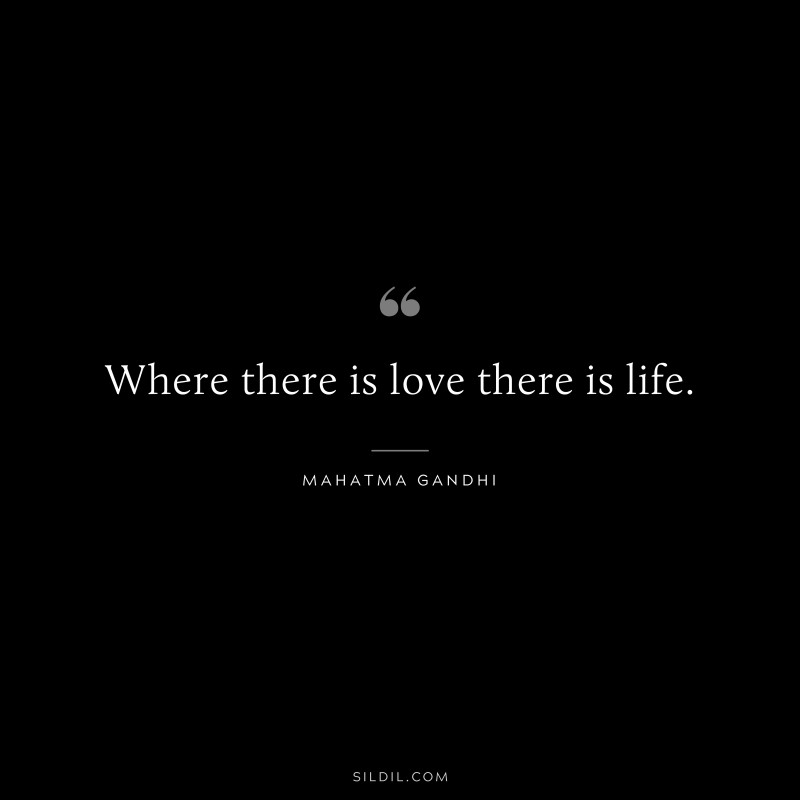 Where there is love there is life. ― Mahatma Gandhi