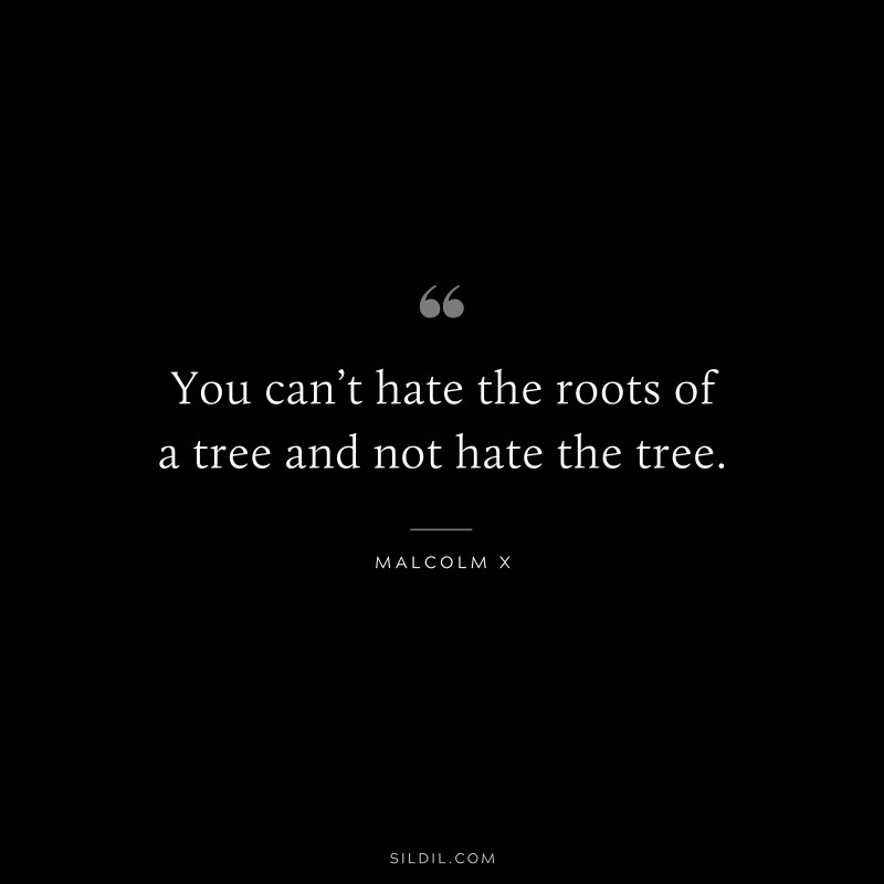 You can’t hate the roots of a tree and not hate the tree. ― Malcolm X