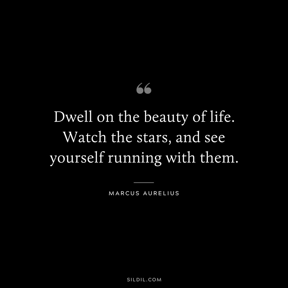 Dwell on the beauty of life. Watch the stars, and see yourself running with them. ― Marcus Aurelius