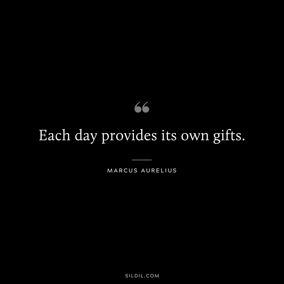 Each day provides its own gifts. ― Marcus Aurelius