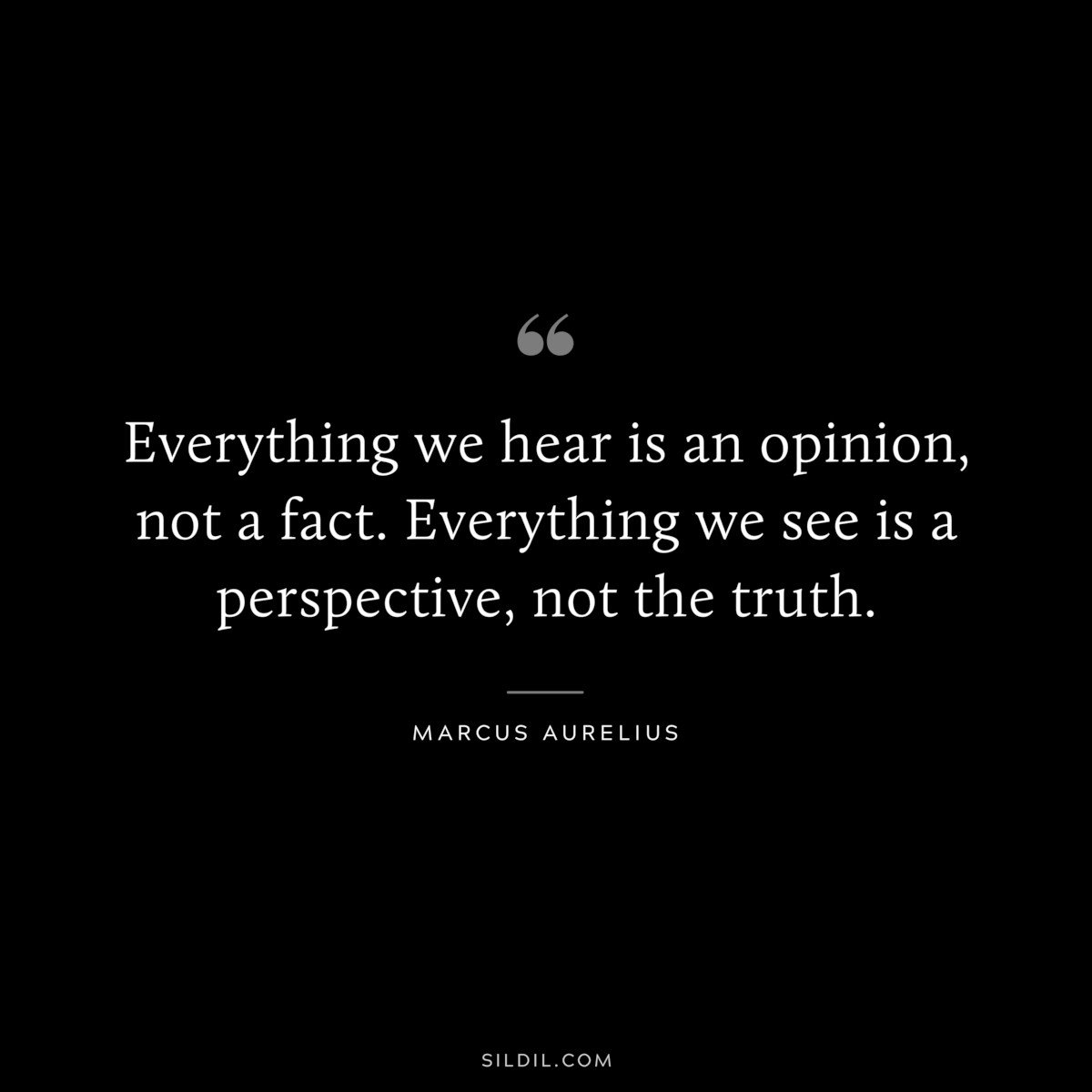 Everything we hear is an opinion, not a fact. Everything we see is a perspective, not the truth. ― Marcus Aurelius