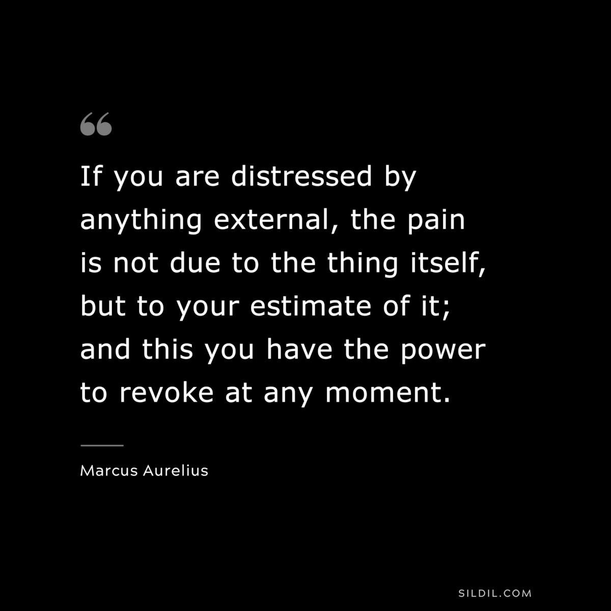 If you are distressed by anything external, the pain is not due to the thing itself, but to your estimate of it; and this you have the power to revoke at any moment. ― Marcus Aurelius