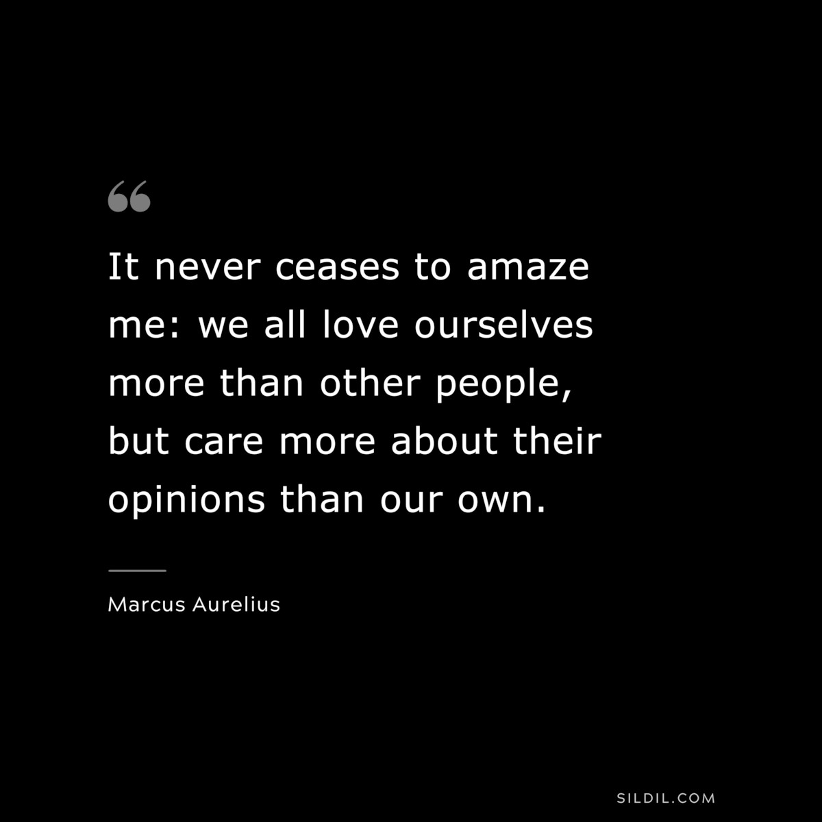 It never ceases to amaze me: we all love ourselves more than other people, but care more about their opinions than our own. ― Marcus Aurelius