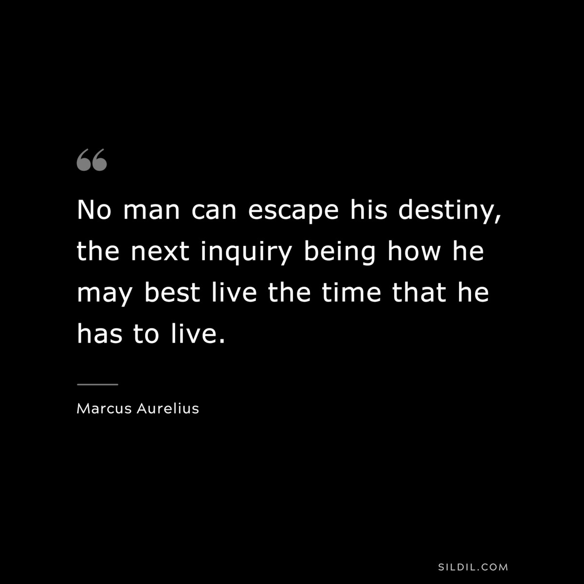 No man can escape his destiny, the next inquiry being how he may best live the time that he has to live. ― Marcus Aurelius