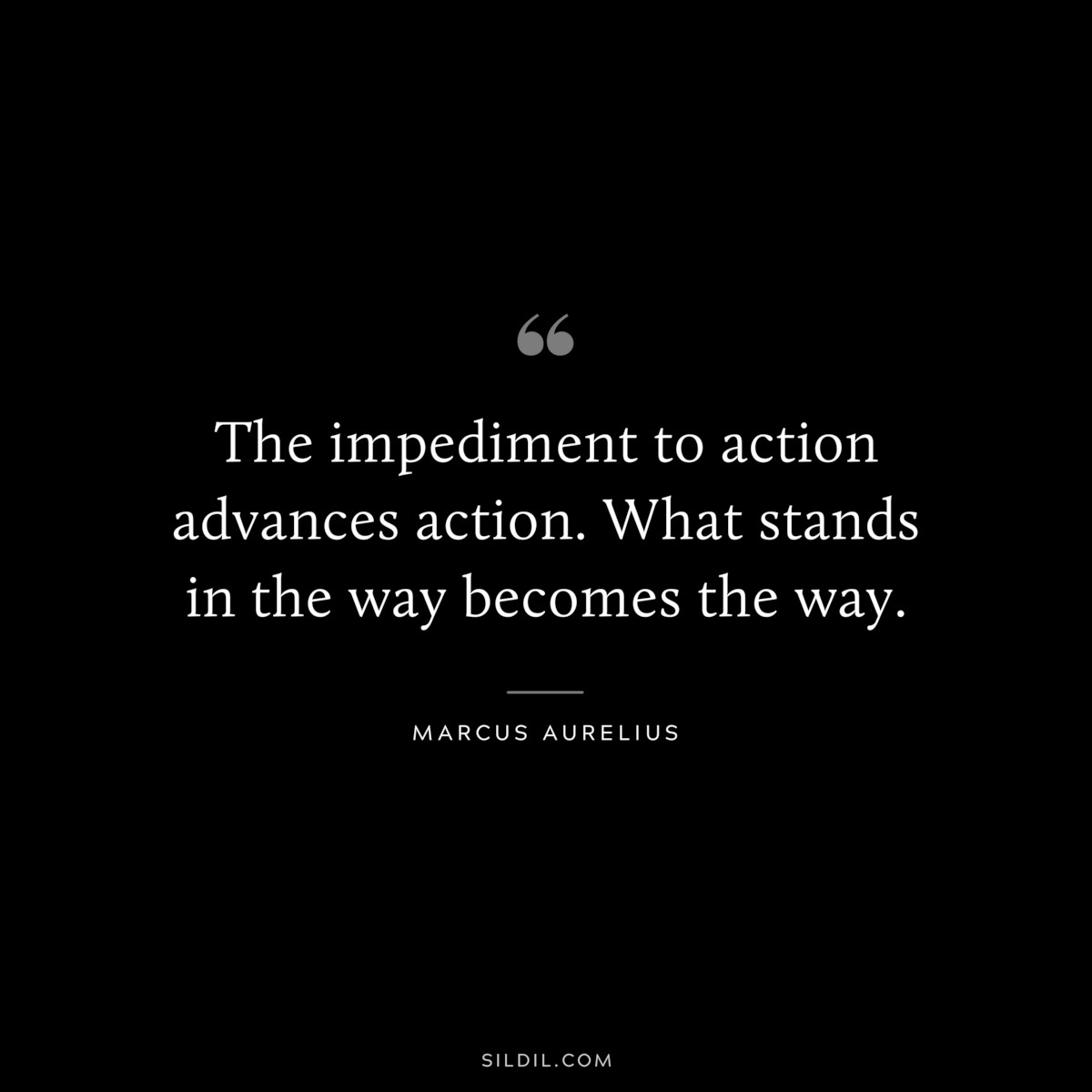 The impediment to action advances action. What stands in the way becomes the way. ― Marcus Aurelius