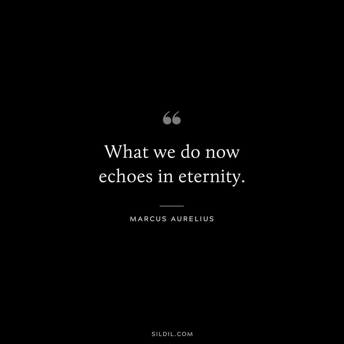 What we do now echoes in eternity. ― Marcus Aurelius