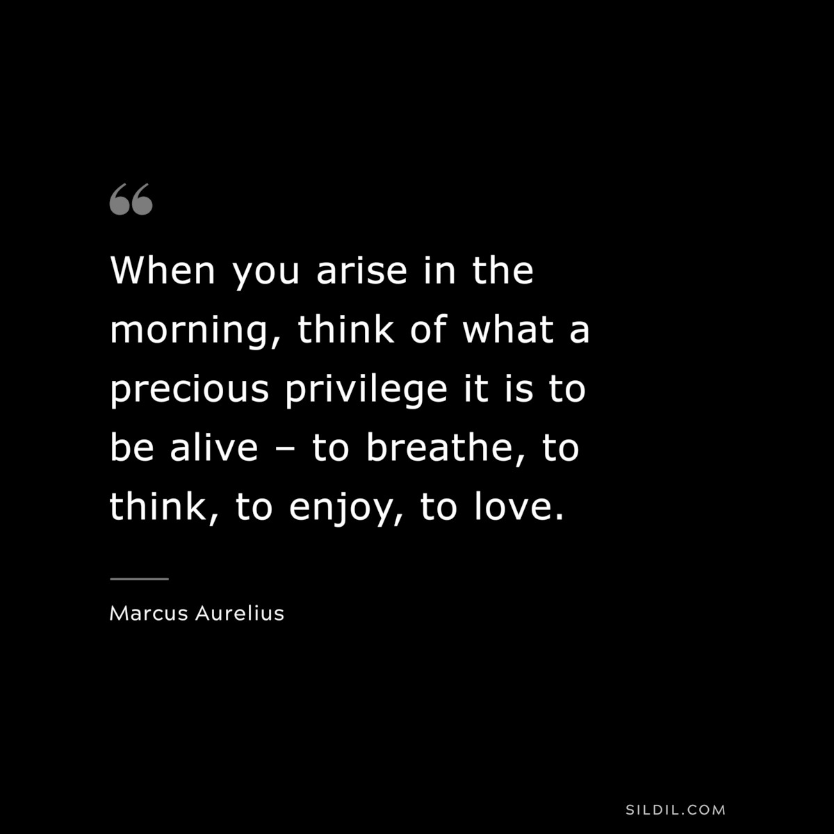 When you arise in the morning, think of what a precious privilege it is to be alive – to breathe, to think, to enjoy, to love. ― Marcus Aurelius