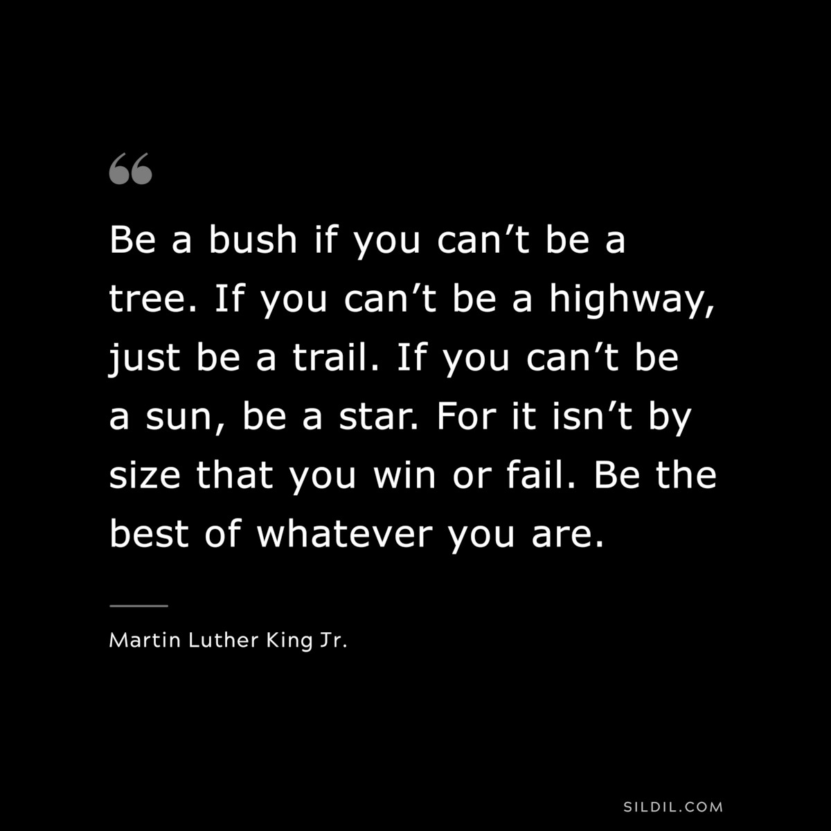 Be a bush if you can’t be a tree. If you can’t be a highway, just be a trail. If you can’t be a sun, be a star. For it isn’t by size that you win or fail. Be the best of whatever you are. ― Martin Luther King Jr.