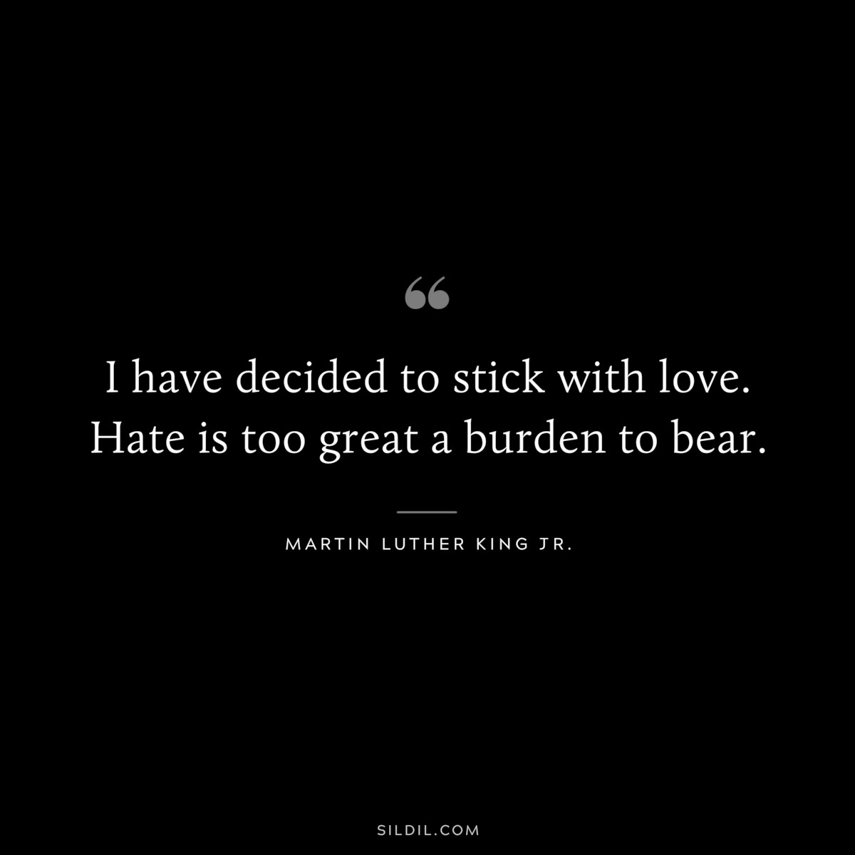 I have decided to stick with love. Hate is too great a burden to bear. ― Martin Luther King Jr.