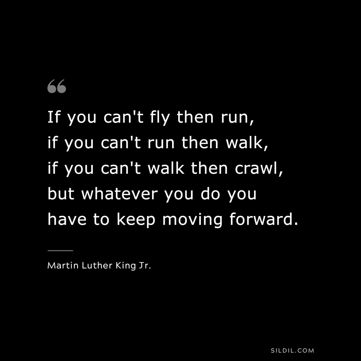 If you can't fly then run, if you can't run then walk, if you can't walk then crawl, but whatever you do you have to keep moving forward. ― Martin Luther King Jr.