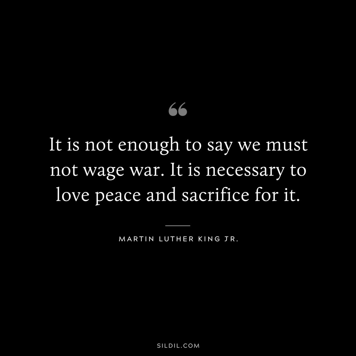 It is not enough to say we must not wage war. It is necessary to love peace and sacrifice for it. ― Martin Luther King Jr.