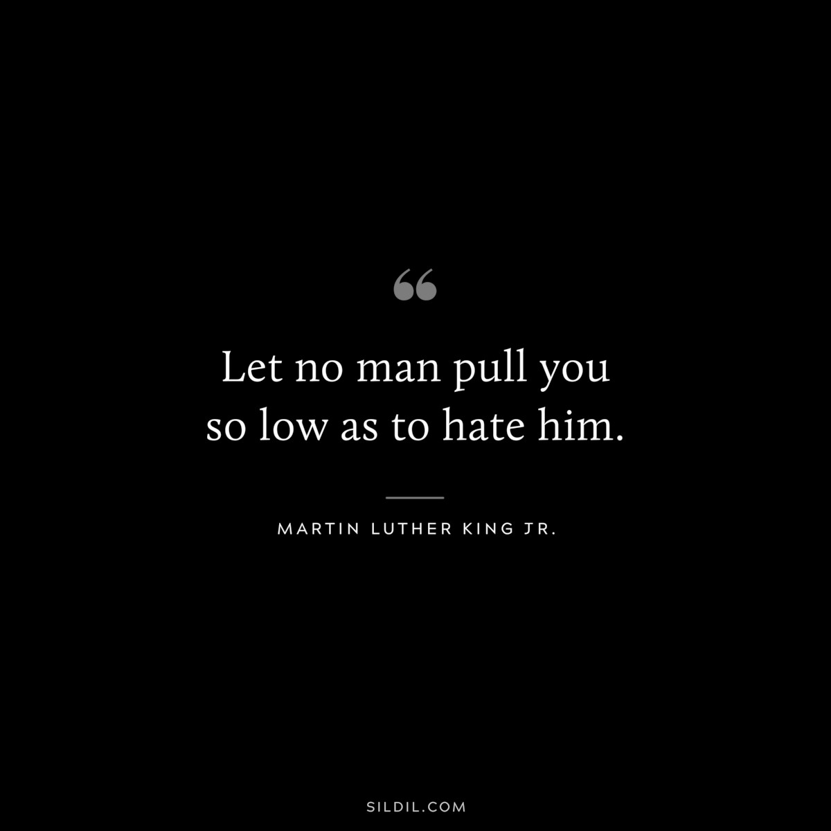 Let no man pull you so low as to hate him. ― Martin Luther King Jr.