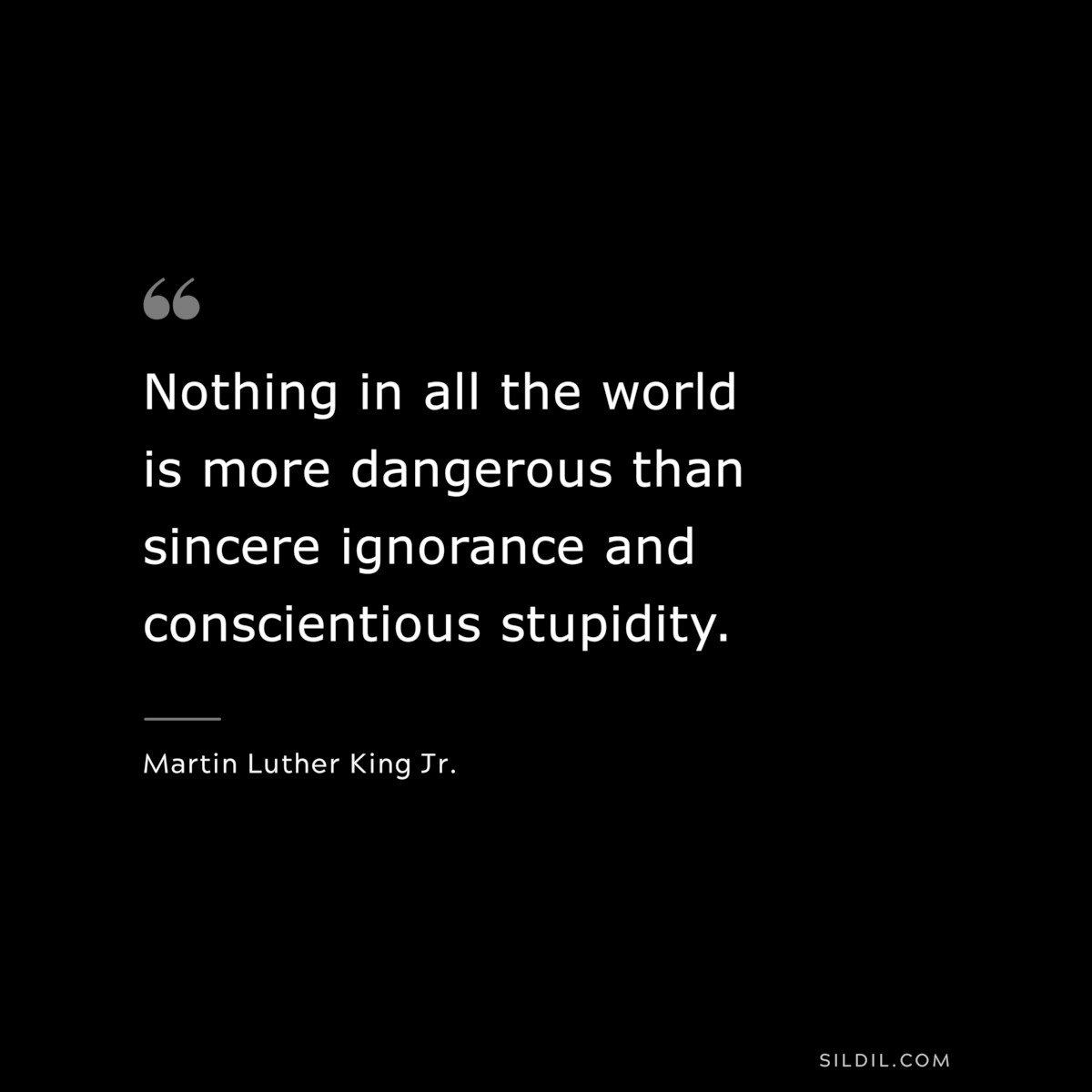 Nothing in all the world is more dangerous than sincere ignorance and conscientious stupidity. ― Martin Luther King Jr.