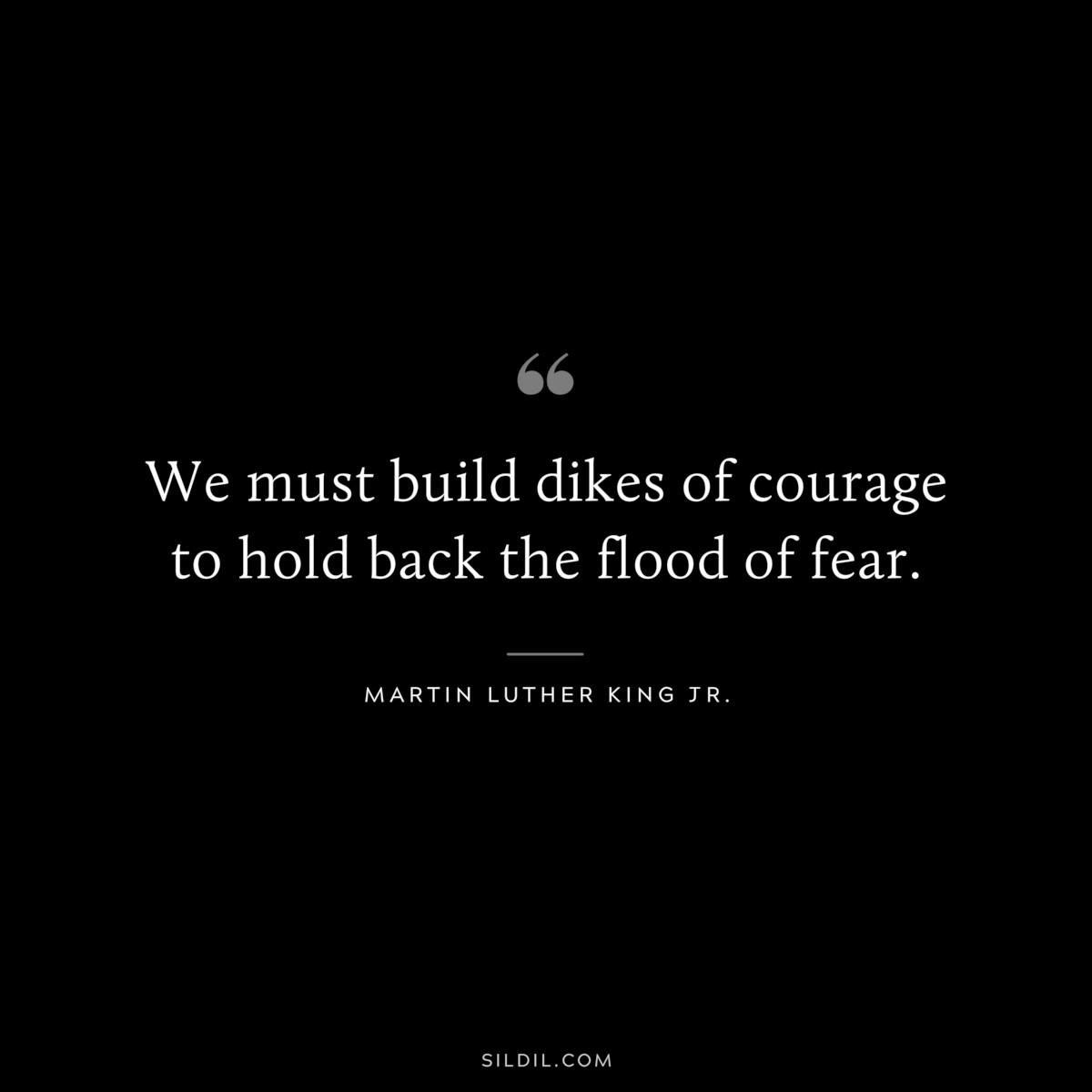We must build dikes of courage to hold back the flood of fear. ― Martin Luther King Jr.