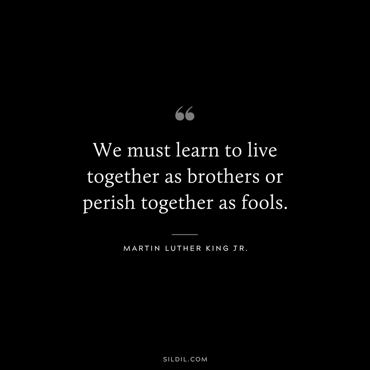 We must learn to live together as brothers or perish together as fools. ― Martin Luther King Jr.