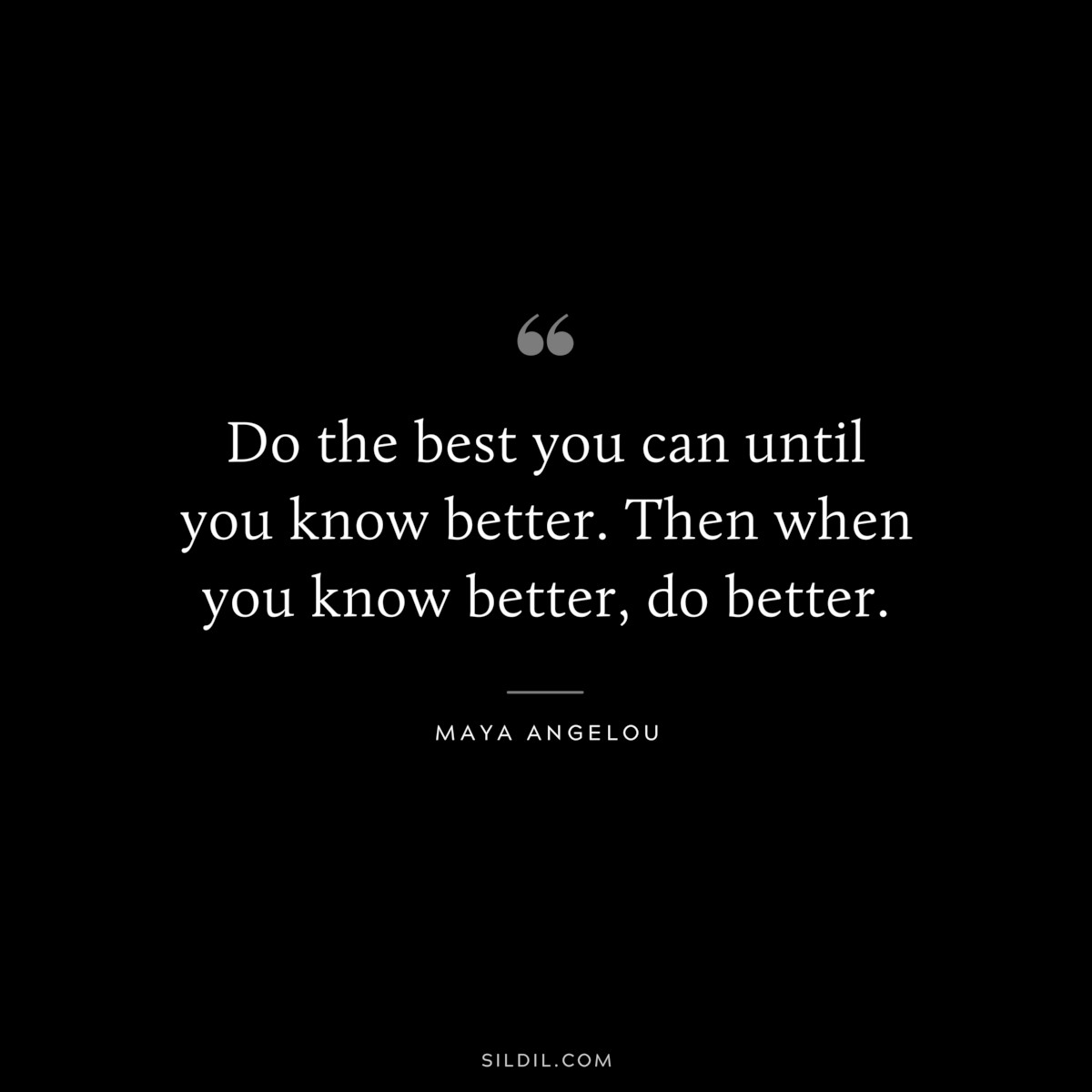 Do the best you can until you know better. Then when you know better, do better. ― Maya Angelou