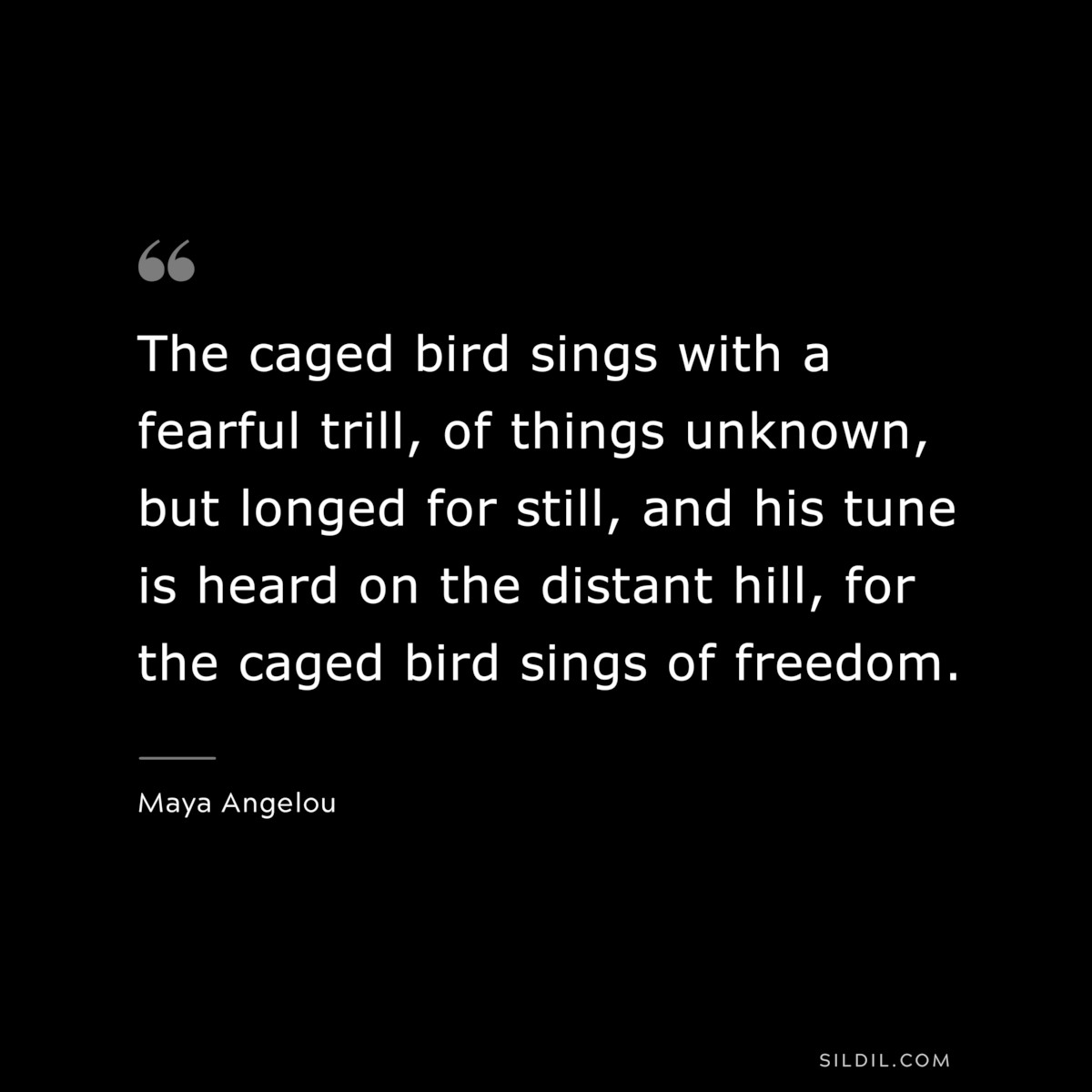 The caged bird sings with a fearful trill, of things unknown, but longed for still, and his tune is heard on the distant hill, for the caged bird sings of freedom. ― Maya Angelou