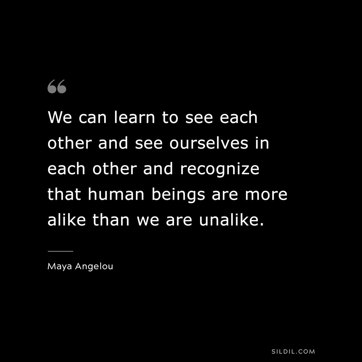 We can learn to see each other and see ourselves in each other and recognize that human beings are more alike than we are unalike. ― Maya Angelou