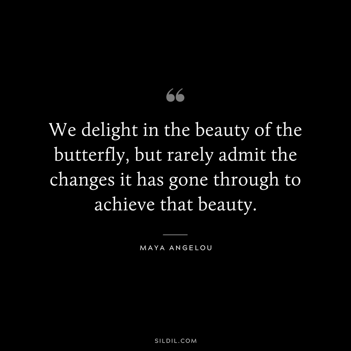 We delight in the beauty of the butterfly, but rarely admit the changes it has gone through to achieve that beauty. ― Maya Angelou