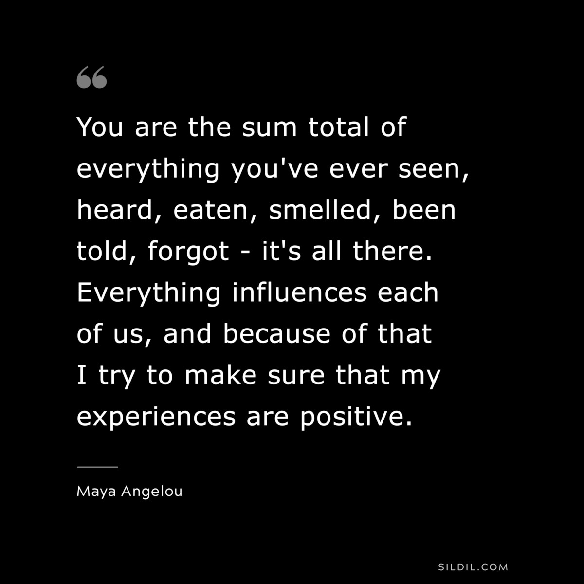 You are the sum total of everything you've ever seen, heard, eaten, smelled, been told, forgot - it's all there. Everything influences each of us, and because of that I try to make sure that my experiences are positive. ― Maya Angelou