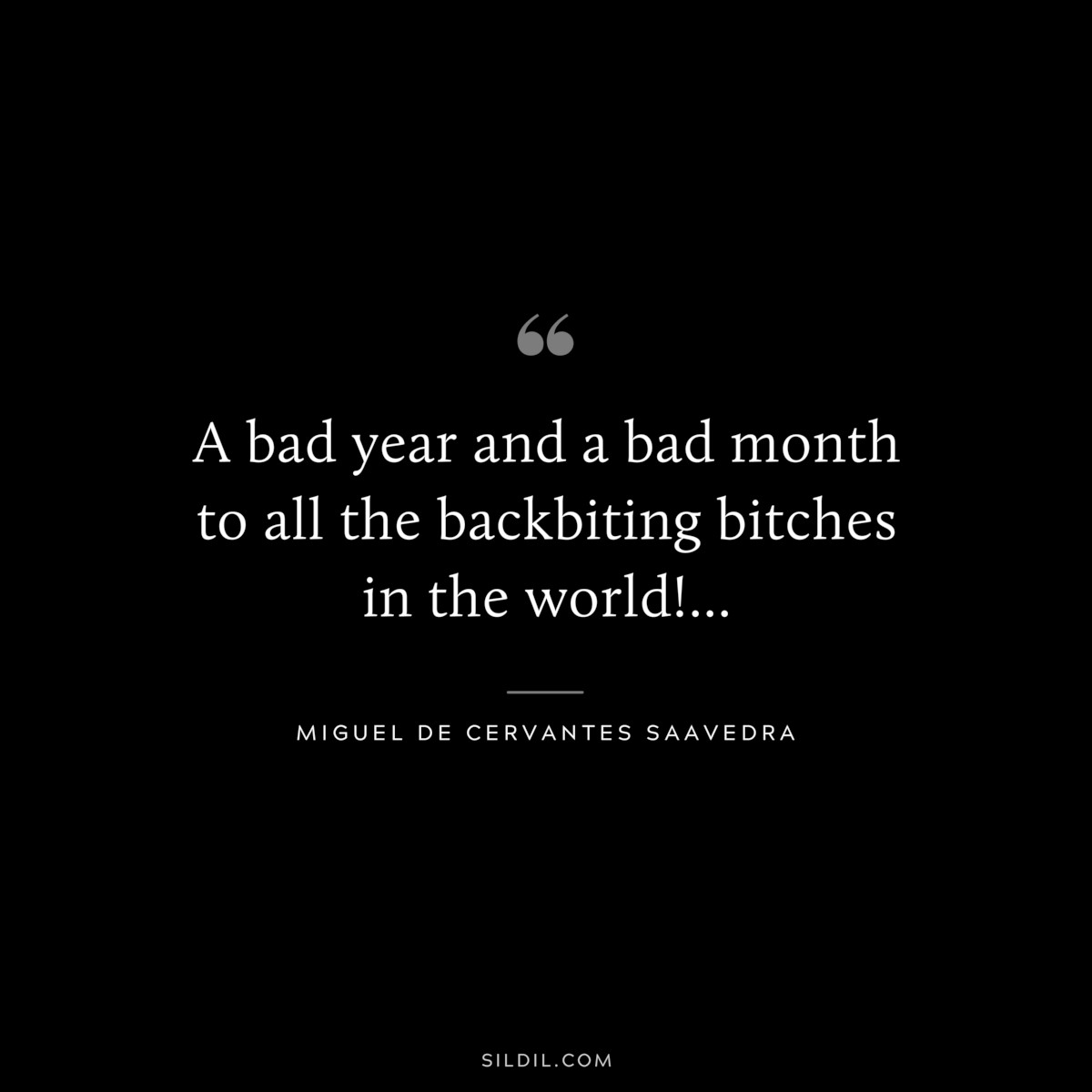 A bad year and a bad month to all the backbiting bitches in the world!... ― Miguel de Cervantes Saavedra