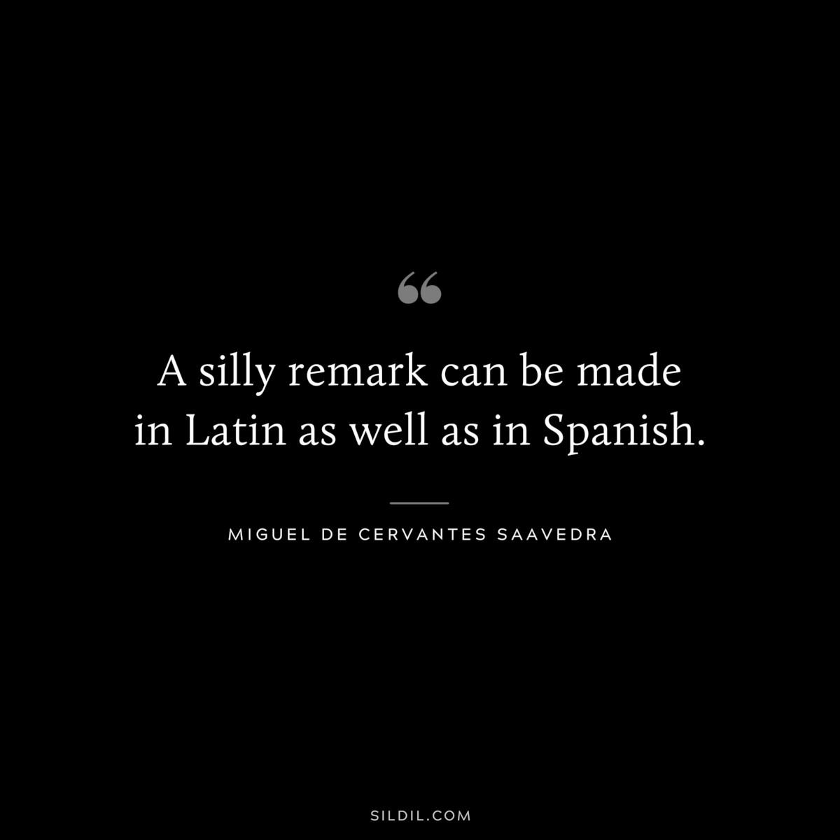 A silly remark can be made in Latin as well as in Spanish. ― Miguel de Cervantes Saavedra