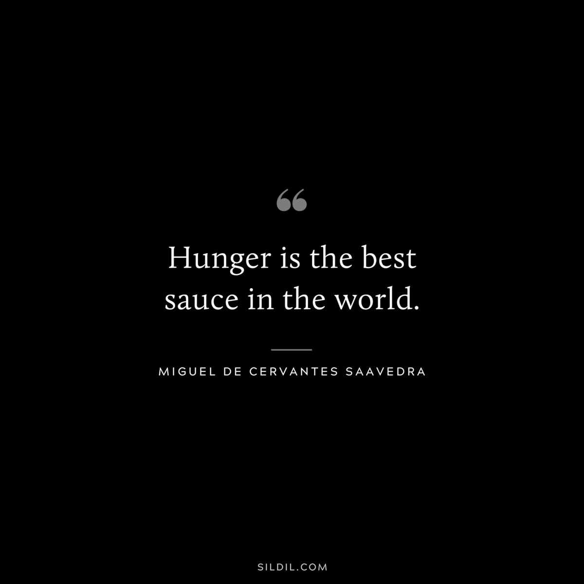 Hunger is the best sauce in the world. ― Miguel de Cervantes Saavedra