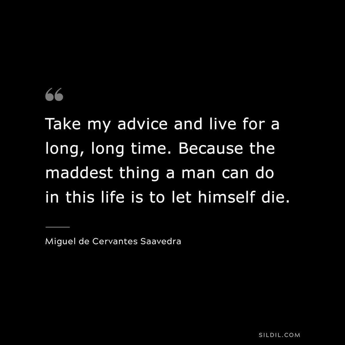 Take my advice and live for a long, long time. Because the maddest thing a man can do in this life is to let himself die. ― Miguel de Cervantes Saavedra
