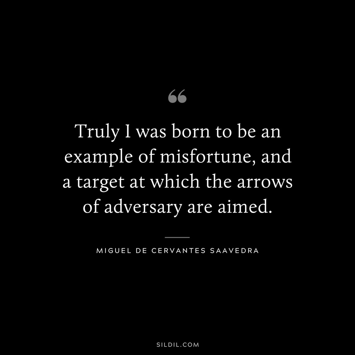 Truly I was born to be an example of misfortune, and a target at which the arrows of adversary are aimed. ― Miguel de Cervantes Saavedra